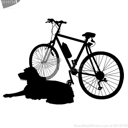 Image of Dog and Bike Silhouette