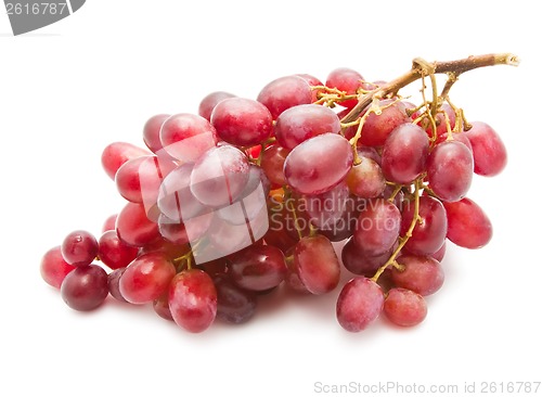 Image of Grapes