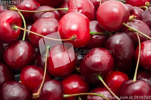 Image of Red cherry