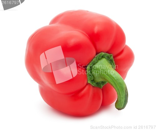 Image of Bell pepper
