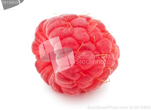 Image of Fresh raspberry