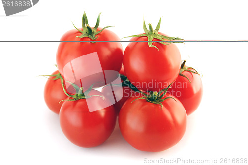 Image of Fresh red tomato