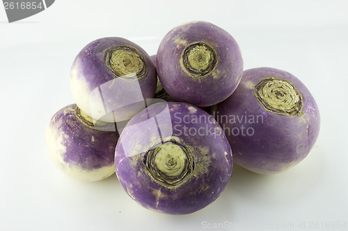 Image of purple headed turnips 
