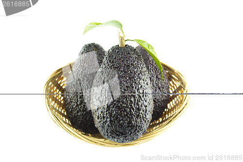 Image of Black Ripe Avocados
