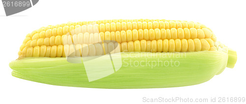 Image of Corn