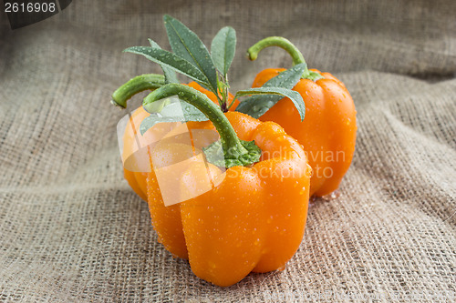 Image of Orange sweet pepper 