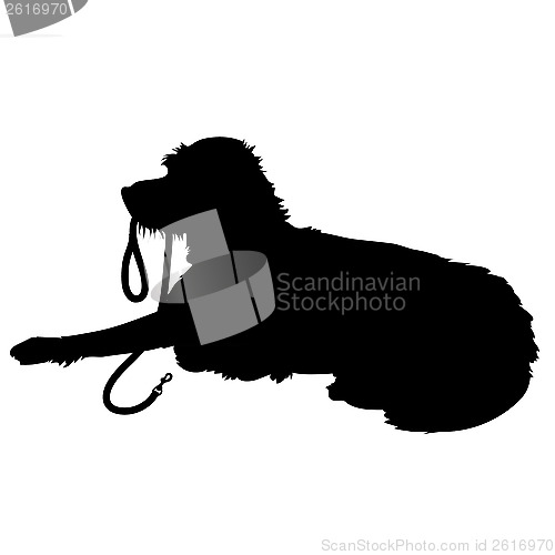 Image of Shaggy Dog Silhouette