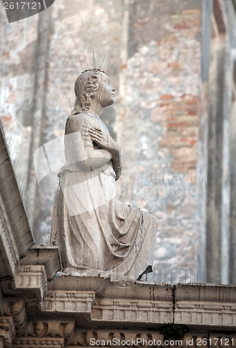Image of statue with anti-pigeon needle