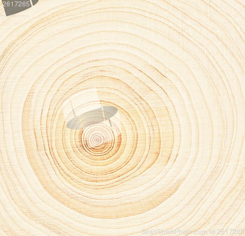 Image of Wood rings