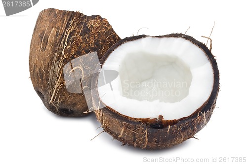 Image of Coconut