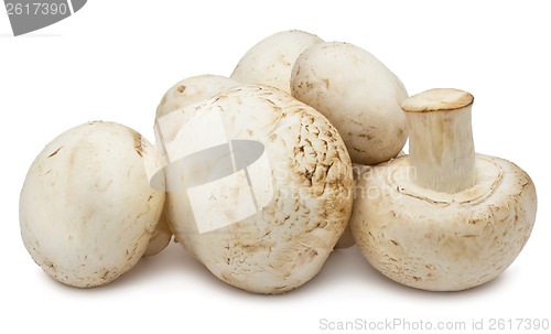 Image of Champignon mushrooms
