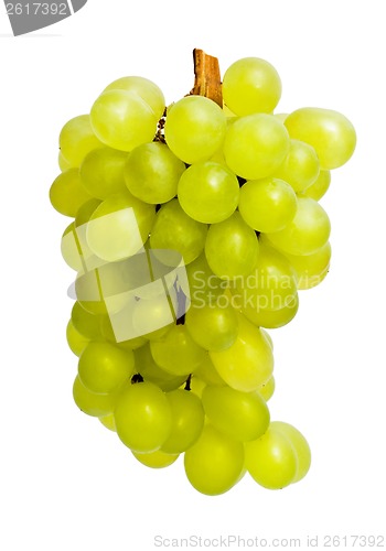Image of Grapes