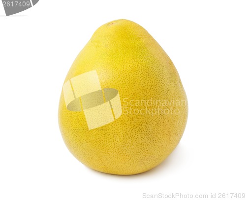 Image of Pomelo