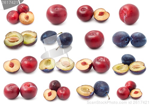 Image of Plum