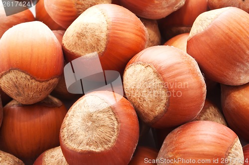 Image of Hazelnuts or filbert