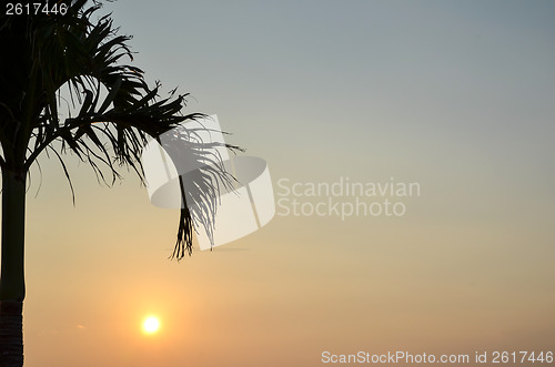 Image of Tropical Sunset