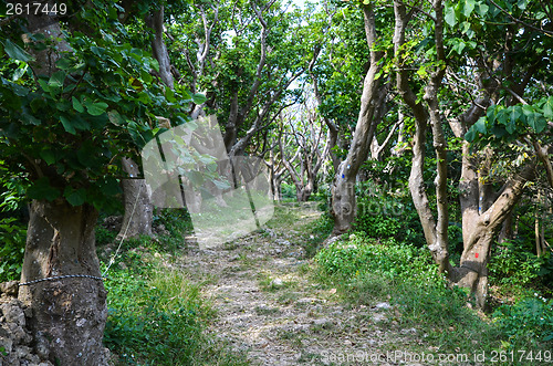 Image of Old Alley