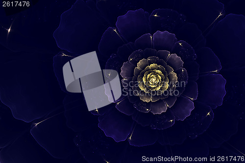 Image of Blue fractal dahlia
