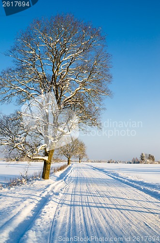 Image of Winter landscape with road to a countryside