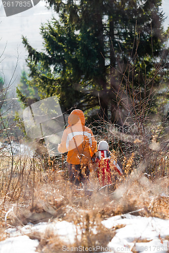 Image of Family in forest