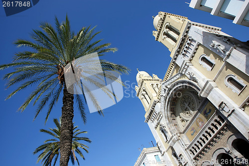 Image of Palm tree and cathedral in Tunis