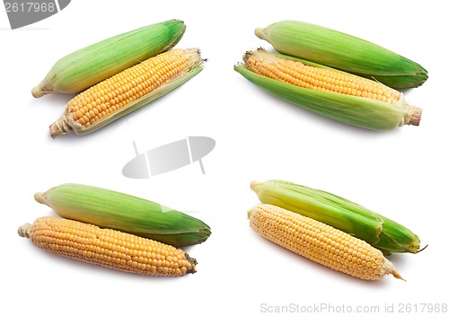 Image of Corn