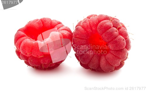 Image of Fresh raspberries