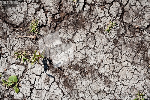 Image of Dry land