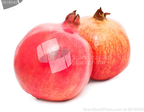 Image of Pomegranate