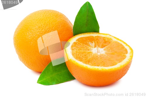 Image of Orange