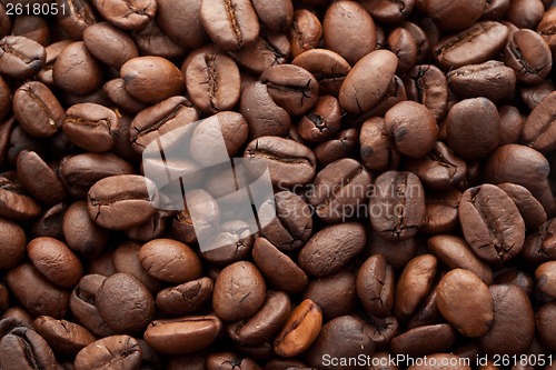 Image of Coffee beans