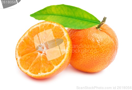 Image of Tangerines