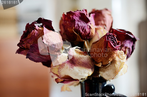 Image of bouquet of dried roses in vase