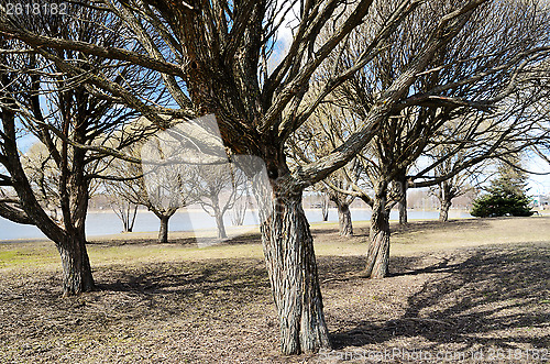 Image of park in early spring