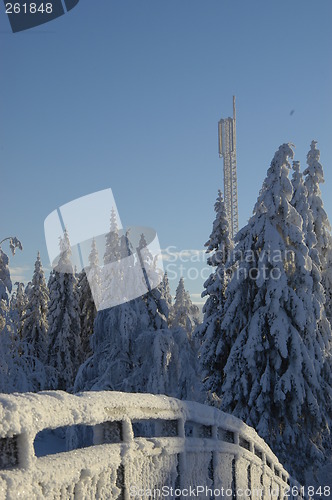Image of winterantenna