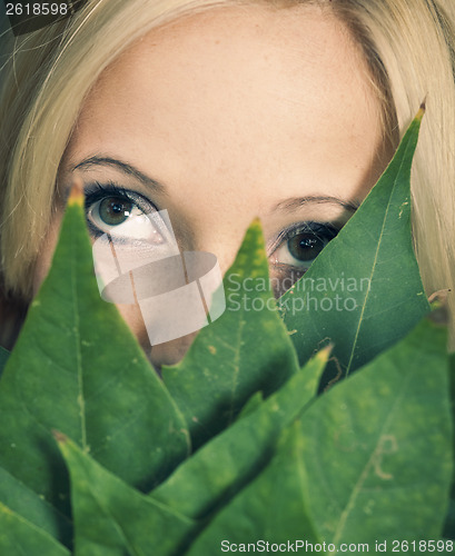 Image of Leaves face