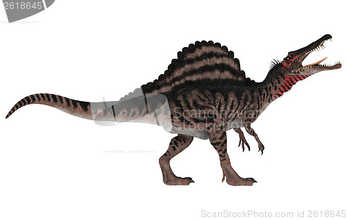 Image of Dinosaur Spinosaurus