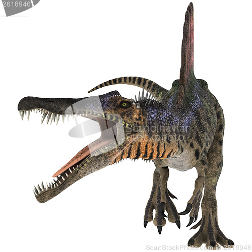 Image of Dinosaur Spinosaurus