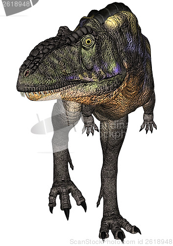 Image of Dinosaur Aucasaurus