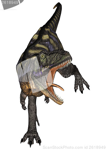 Image of Dinosaur Aucasaurus