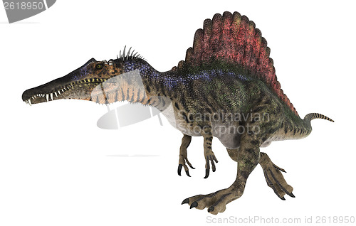 Image of Dinosaur Spinosaurus