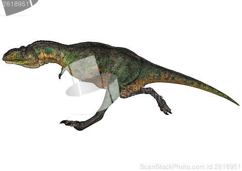 Image of Dinosaur Aucasaurus