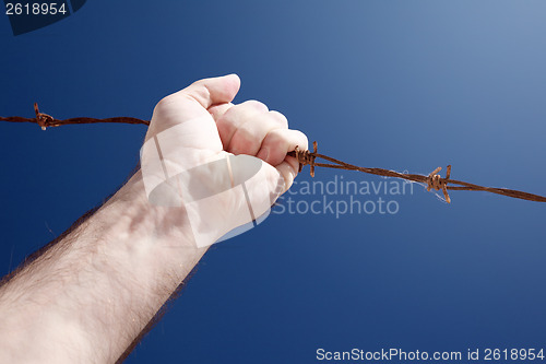 Image of barbed wire