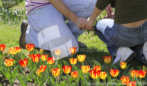 Image of Spring love