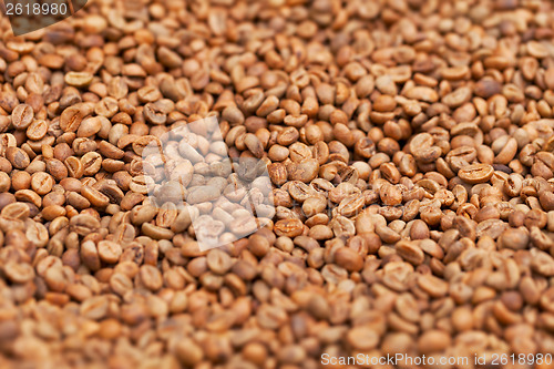 Image of Raw coffee beans close up