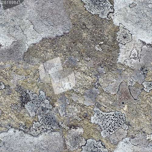 Image of Seamless pattern - granite rock with north lichen