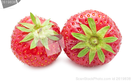 Image of Strawberry