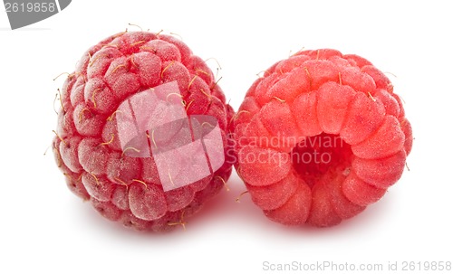 Image of Fresh raspberries