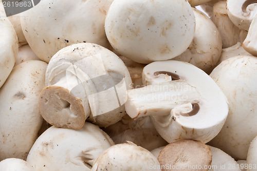 Image of Champignon mushrooms