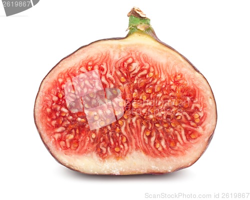 Image of Fig